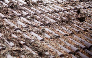 Tregarne roof cleaning companies