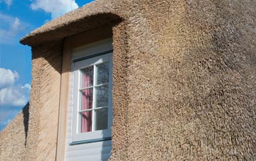Tregarne thatch roof disadvantages